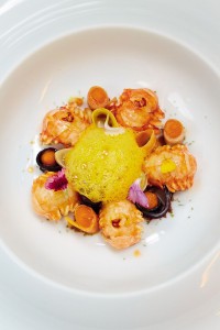 Ecrevisses et carottes plurielles