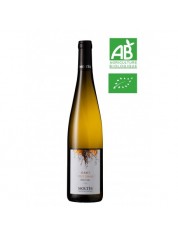 PINOT GRIS PETITS GRAINS PINOT GRIS PETITS GRAINS