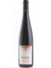 PINOT NOIR TRADITION PINOT NOIR TRADITION