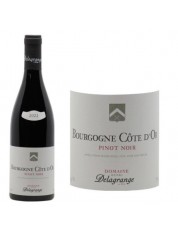 AOP BOURGOGNE ROUGE CÔTE D’OR PINOT NOIR AOP BOURGOGNE ROUGE CÔTE D’OR PINOT NOIR