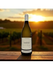 AOP SANTENAY VILLAGE BLANC