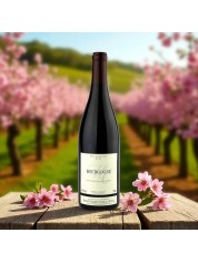 AOP BOURGOGNE ROUGE PINOT NOIR