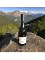 SANCERRE BLANC CUVEE LES MONTS DAMNES SANCERRE BLANC CUVEE LES MONTS DAMNES